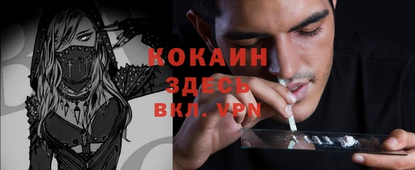 крисы Костерёво
