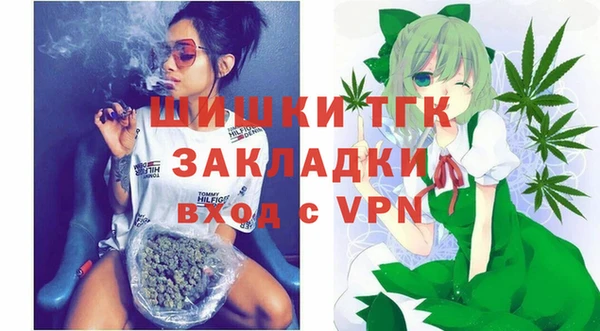 дживик Коряжма