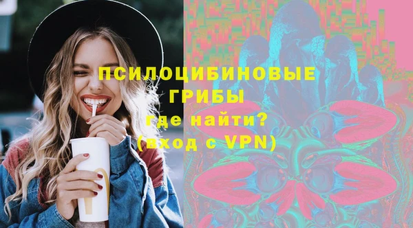 дживик Коряжма