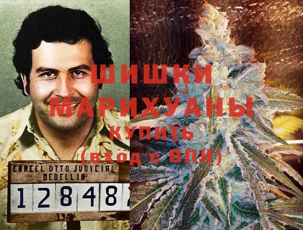 крисы Костерёво