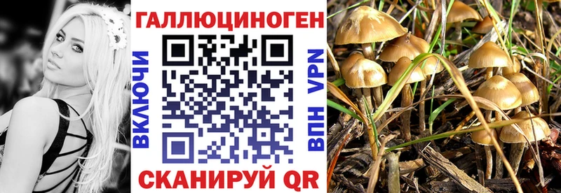 Купить где  Белёв  Галлюциногенные грибы прущие грибы 